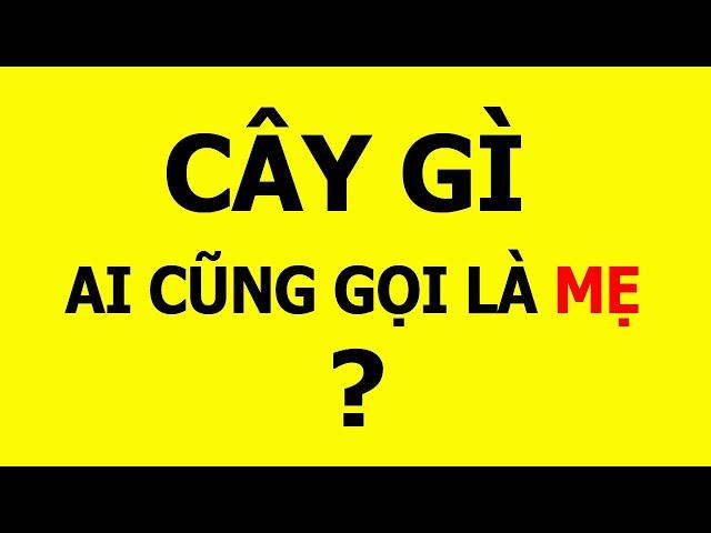 Các câu đố mẹo ngắn, hay khiến bạn bối rối