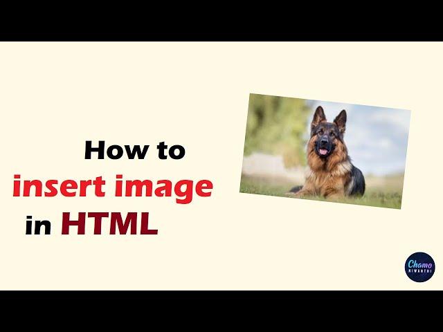 How to insert image in HTML web page using notepad