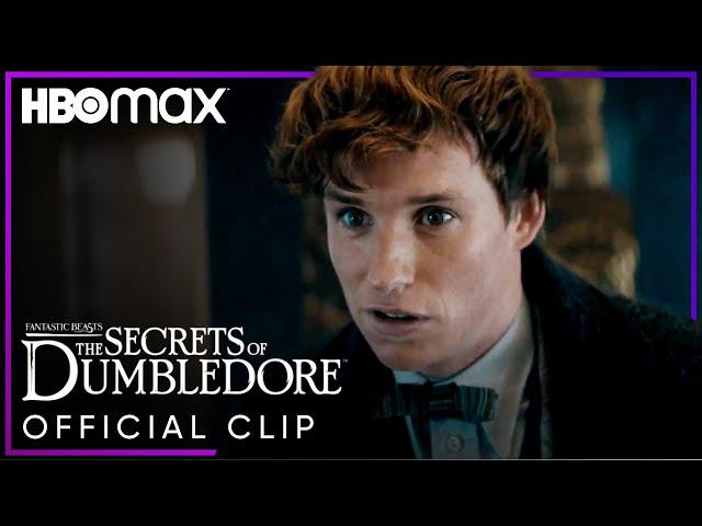 Newt Scamander Confuses ﻿Grindelwald | ﻿Fantastic Beasts: The Secrets of Dumbledore | HBO Max