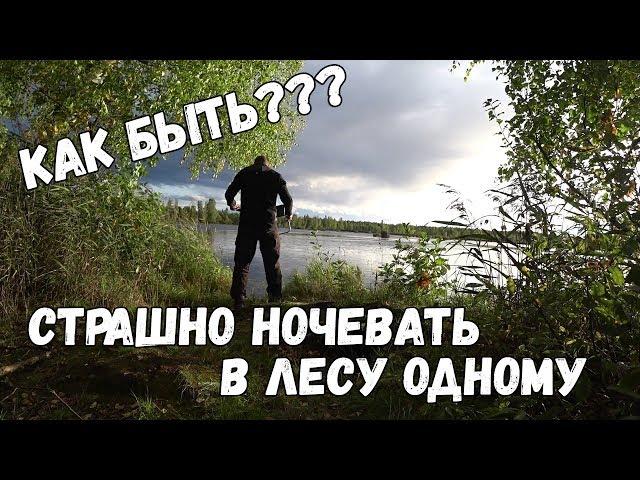 Одиночный поход в лес с ночевкой. Как не бояться. Советы.