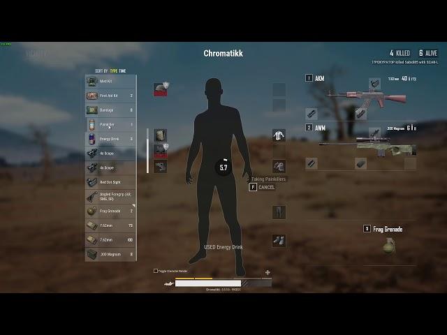 PUBG - winner winner...