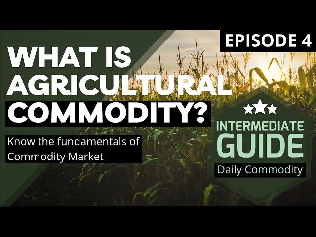 What is Agricultural Commodity? | Episode 4 | Daily Commodity