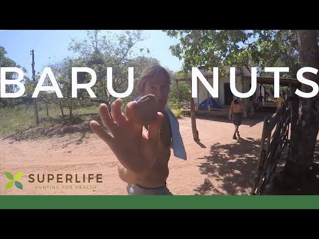 Discovering the Baru Nut with Darin Olien in Brazil