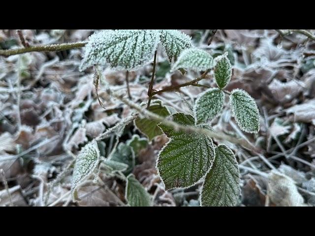  Spaziergang in Dresden vom Trümmerberg in Hellerberge nach Rähnitz