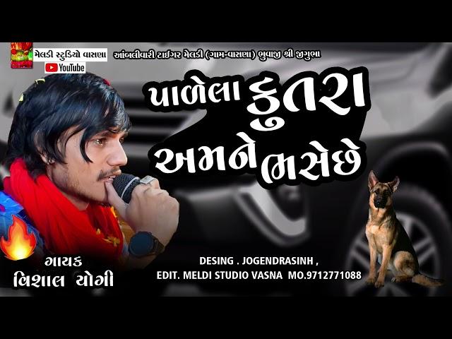 પાળેલા કુતરા એમણે ભસે છે  || Meldi Maa Aalap ||Vishal Yogi New Aalap 2023 Meldi Aalap