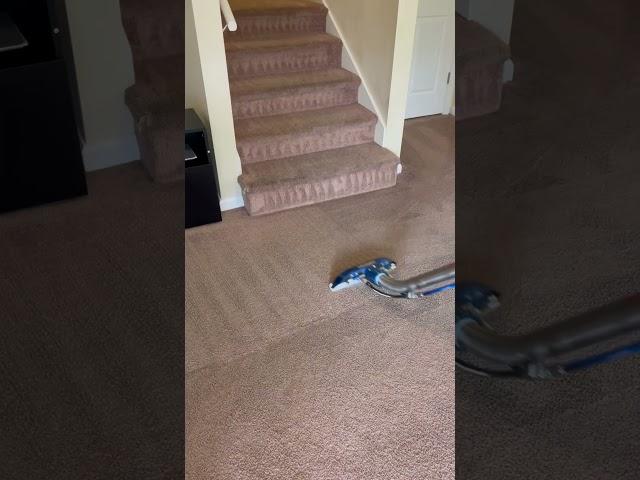 Carpet cleaning in Fort Mitchell,AL #jetstreamclean #dirtycarpets #vlog