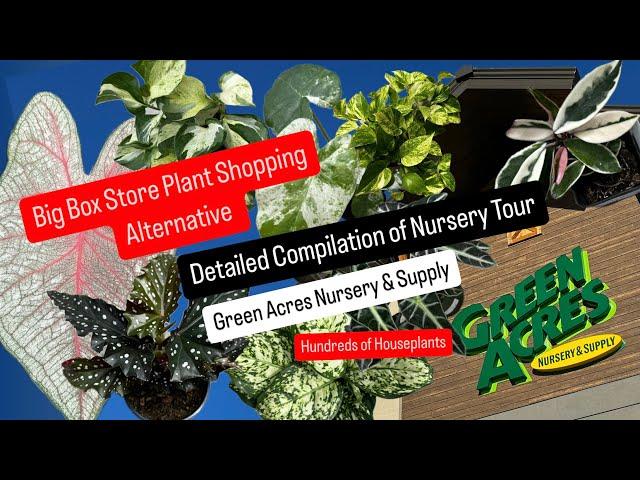 Big Box Store Plant Shopping Alternative Compilation of Green Acres Nursery & Supply Plant Nursery