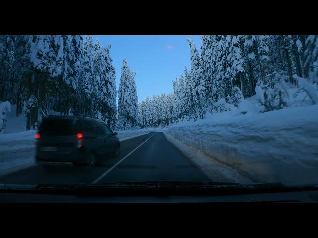 Driving on Pokljuka plateau - POV scenic driving through magical snow covered winter landscape