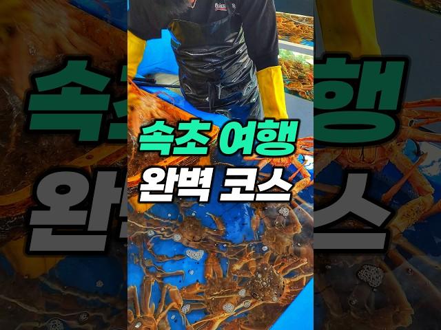 속초 맛집 여행! 필수 3차 코스!