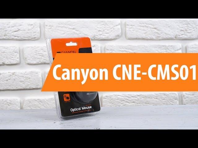 Распаковка Canyon CNE-CMS01 / Unboxing Canyon CNE-CMS01