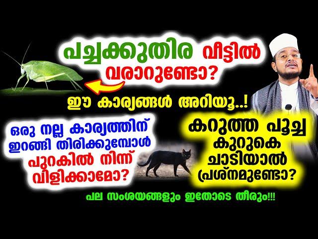 വീട്ടില്‍ പച്ചക്കുതിര വരാറുണ്ടോ? ഈ കാര്യങ്ങള്‍ അറിയൂ..! പല സംശയങ്ങളും ഇതോടെ തീരും!!!