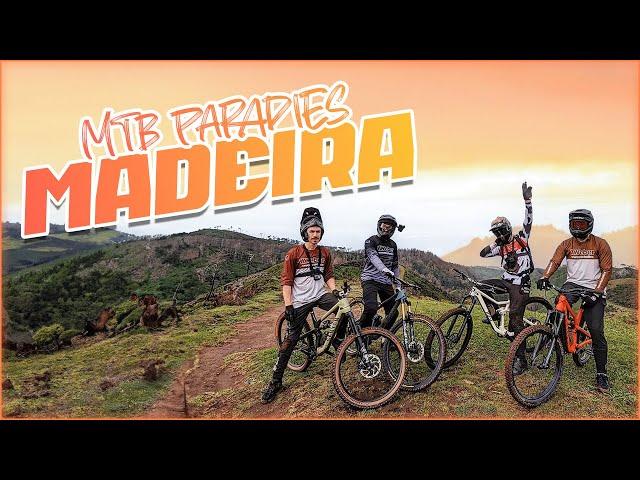 Mountainbike Paradies Madeira mit der Mimo Trails-Crew