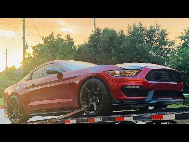 Ford Mustang - First Look - Custom Build MP Shelby GT350 Style Front bumper - looks more aggressive
