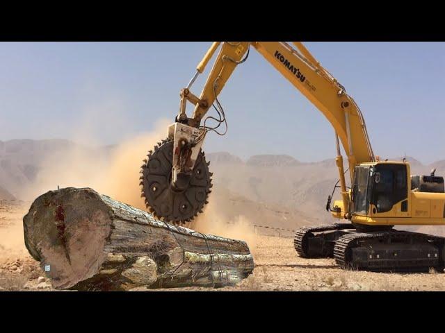 Giant Devil Excavator Cutting Tree - Fast Wood Sawmill Line - Modern Wood Processing Technology