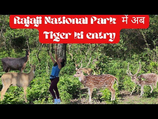 Rajaji National Park,Ranipur Range | Things to Do in Haridwar | NewVlog