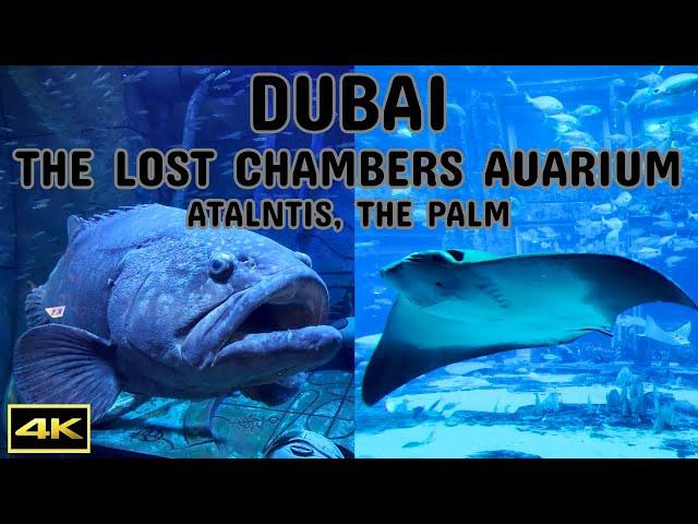 Dubai | The Lost Chambers Aquarium | Atlantis, The Palm | Walking Tour | 2024 | 4K