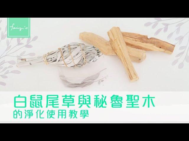 fairy's【白鼠尾草與秘魯聖木的淨化使用教學】