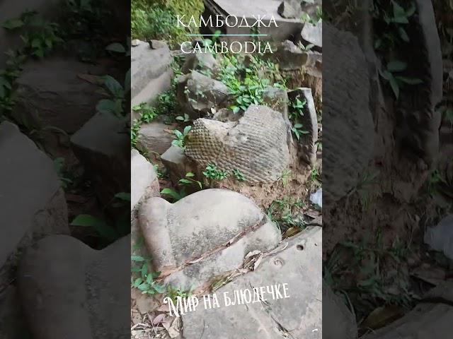 Реставрация мегалитического комплекса Бенг Меалеа  #cambodia #камбоджа