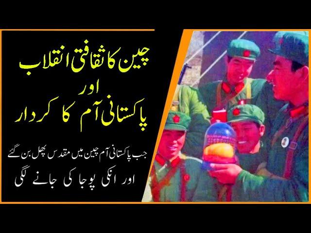 China's Cultural Revolution and Pakistani Mango l History of China  l KnowledgeTV