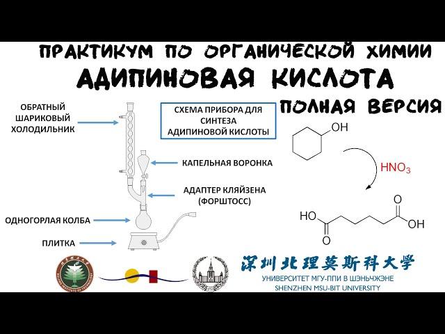 Адипиновая кислота. Практикум по органической химии | полная версия