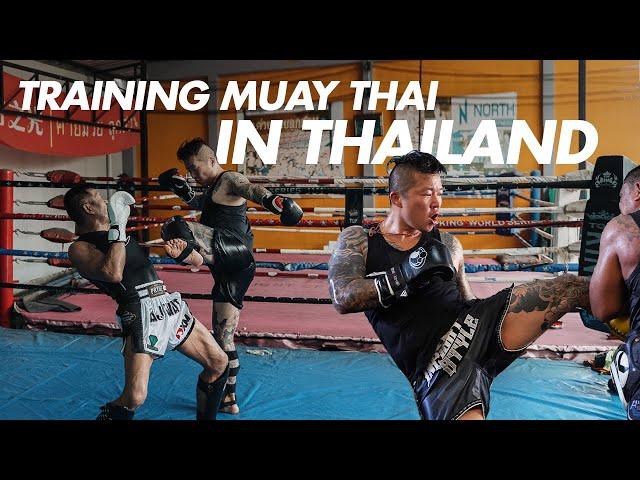 The ULTIMATE guide to training Muay Thai in Thailand