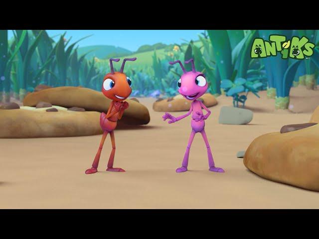 Cookie Rookies | ANTIKS | Moonbug Kids - Funny Cartoons and Animation