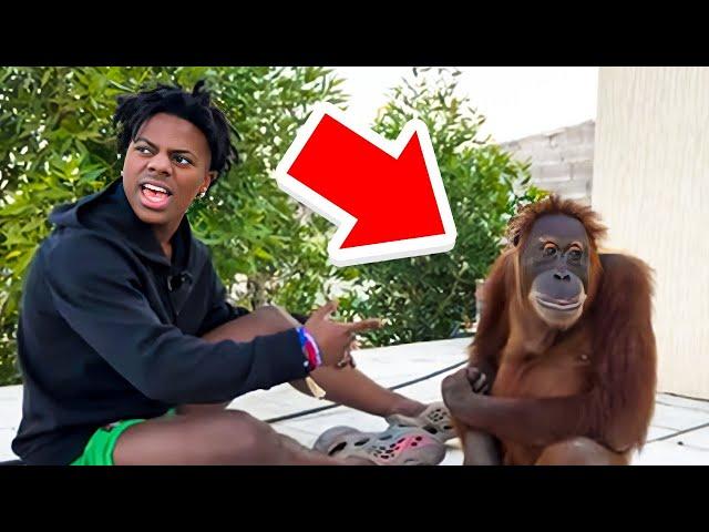 iShowSpeed Meets a MONKEY For the FIRST Time.. 