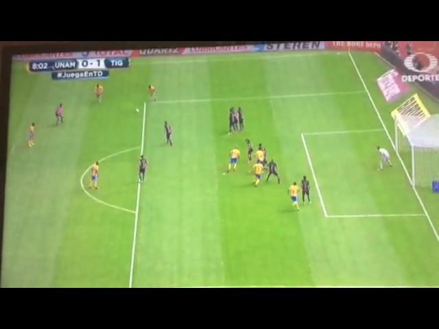 Gooooolazo de Zelayaran Tigres vs Pumas