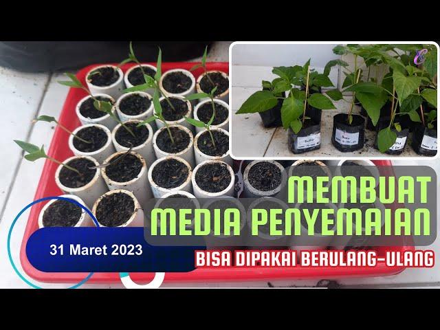 Membuat Media Penyemaian | Cara menyemai tanaman praktis