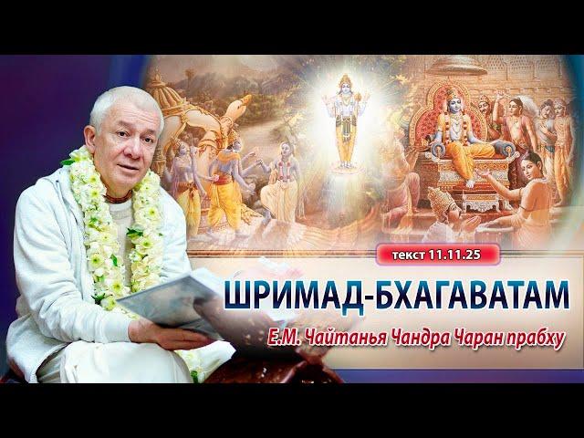 08/02/2025 Шримад-Бхагаватам 11.11.25. Е.М. Чайтанья Чандра Чаран прабху. Омск