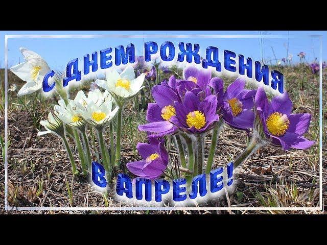 С Днем рождения в апреле Очень красивое поздравление Видео открытка