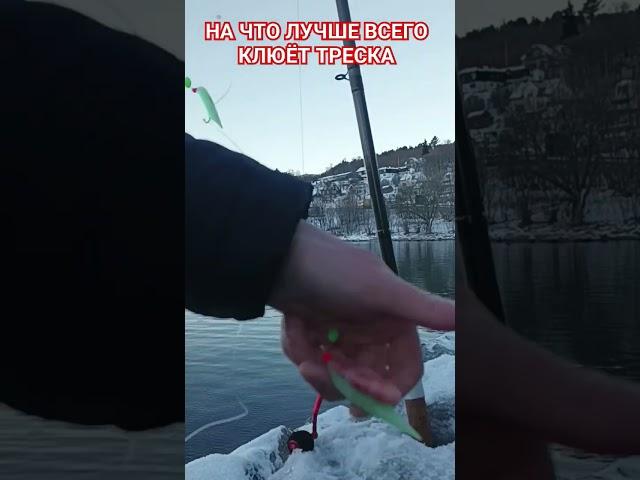 САМАЯ ЛУЧШАЯ  СНАСТИ ДЛЯ ТРЕСКИ #рекомендации #bigfish #рыбалка #norway #рек #хобби #треска #shorts