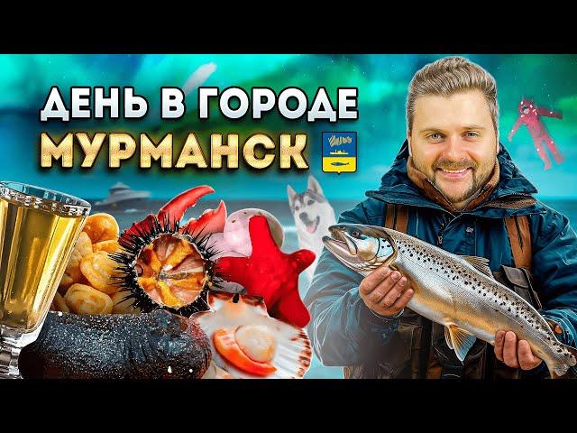 80кг морепродуктов - БЕСПЛАТНО / Арендовал ЦЕЛУЮ яхту / День в городе: Мурманск + Териберка