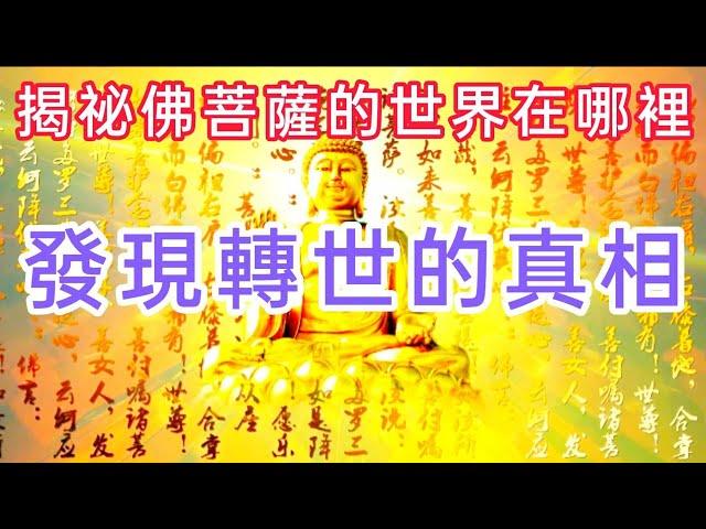 前台大校長李嗣涔博士，揭秘佛菩薩的世界在哪裡？研究發現不可思議的真相