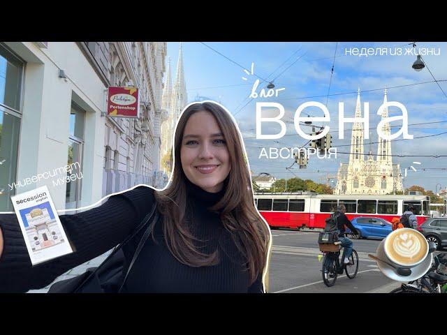 Вена - лучший город в Европе? Учеба в Венском Университете