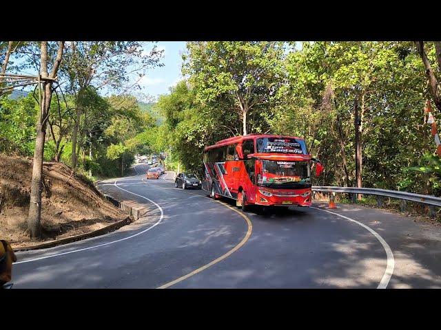 artis bus telolet mewahnya bus bansel mengular bagai ular piton