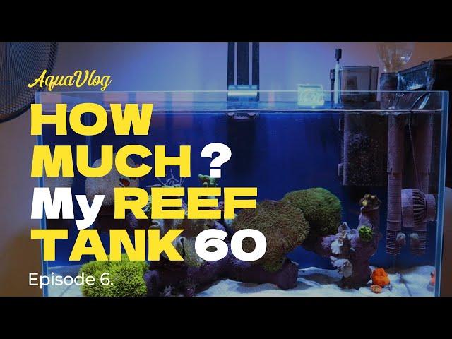 60L reef tank. How much? Episode 6.