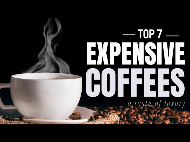 Most Expensive Coffees In the World!!