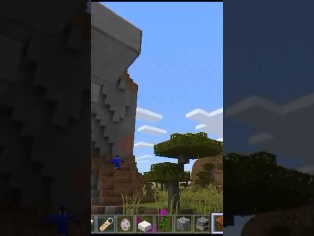 Minecraft5#shorts