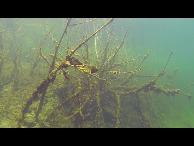 DIVEZONE. Очистка водоемов / 2018 / Дайвинг