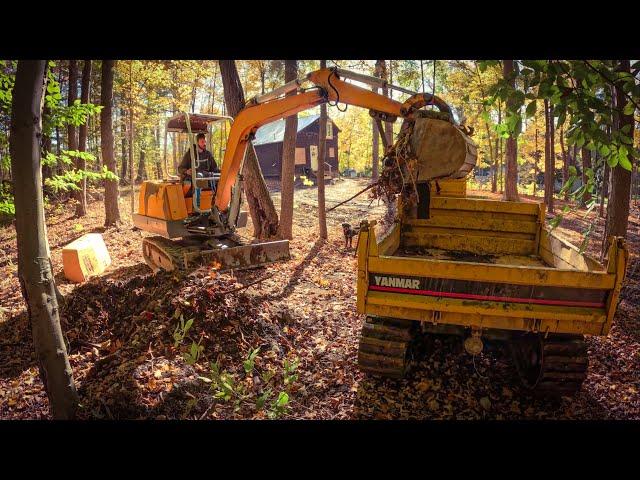 Transforming the curb appeal of an old abandoned cabin!