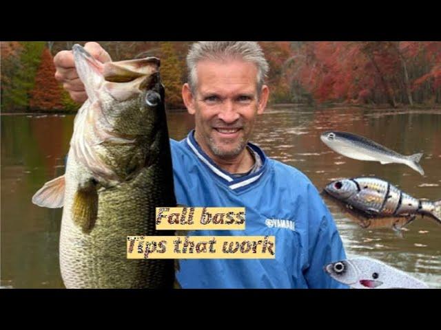 Fall bass fishing tips that actually work