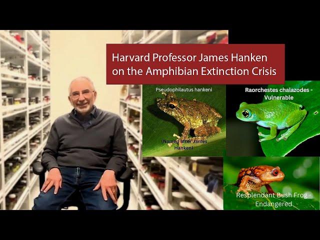 Harvard Professor James Hanken on the Amphibian Extinction Crisis