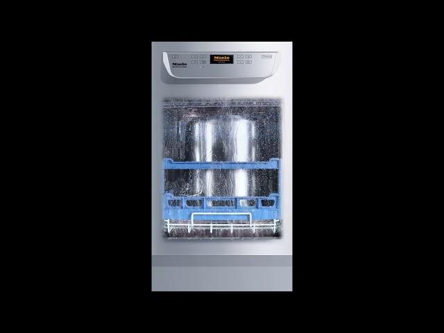 Fresh Water Dishwasher PG 805  Flexible Cleaning   Miele Professional   YouTube