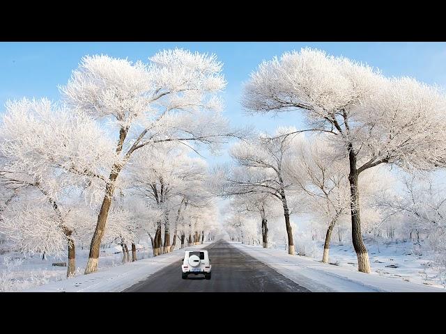 治愈系风景，听闻远方有你，动身跋涉千里，追逐沿途的风景，还带着你的呼吸。