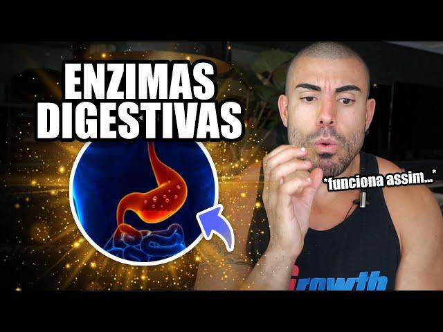 Tudo sobre enzimas digestivas