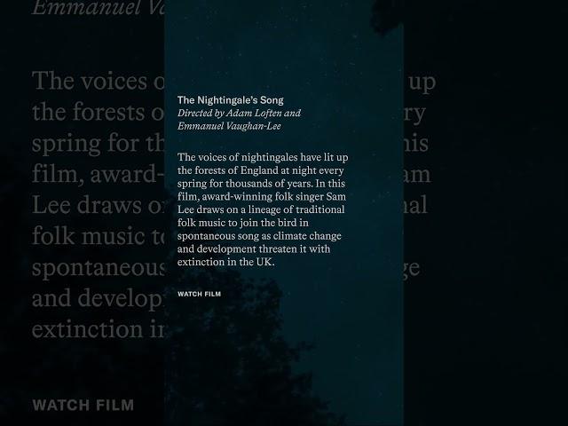 Watch “The Nightingale’s Song“ by Adam Loften and Emmanuel Vaughan-Lee
