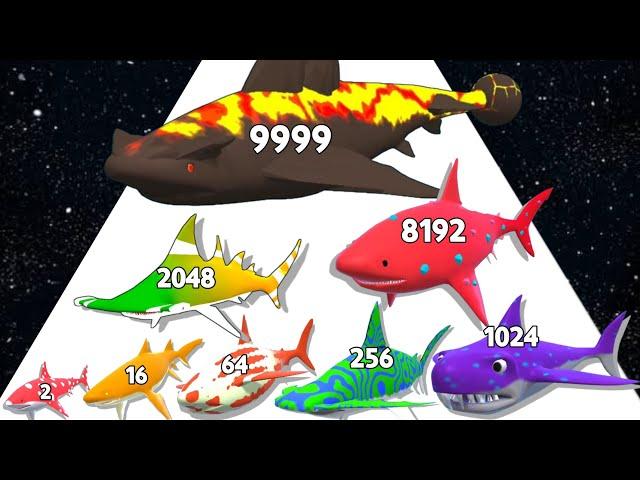 SHARK ATTACK - Level Up Fishs Max Level Evolution Shark Run (Satisfying Mobile Games)
