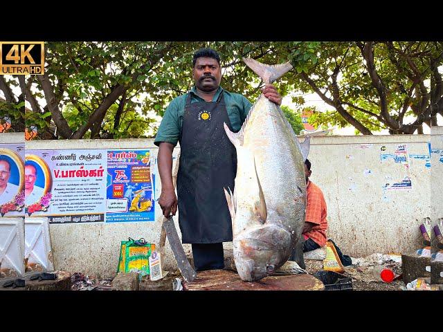 KASIMEDU  SPEED SELVAM | 30 KG GIANT TREVALLY FISH CUTTING | IN KASIMEDU | 4K VIDEO | FF CUTTING