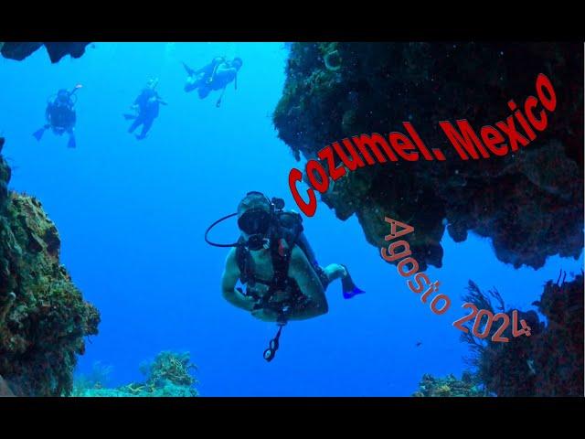 Buceo en Cozumel con Amigos